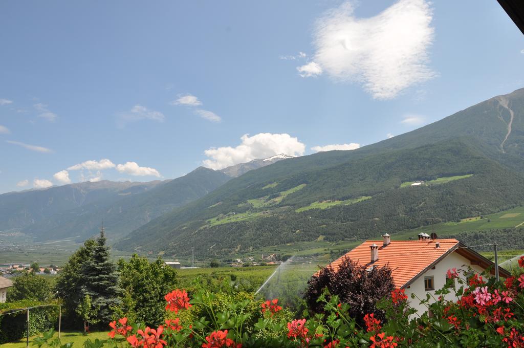 Feldgaertenhof Силандро Стая снимка