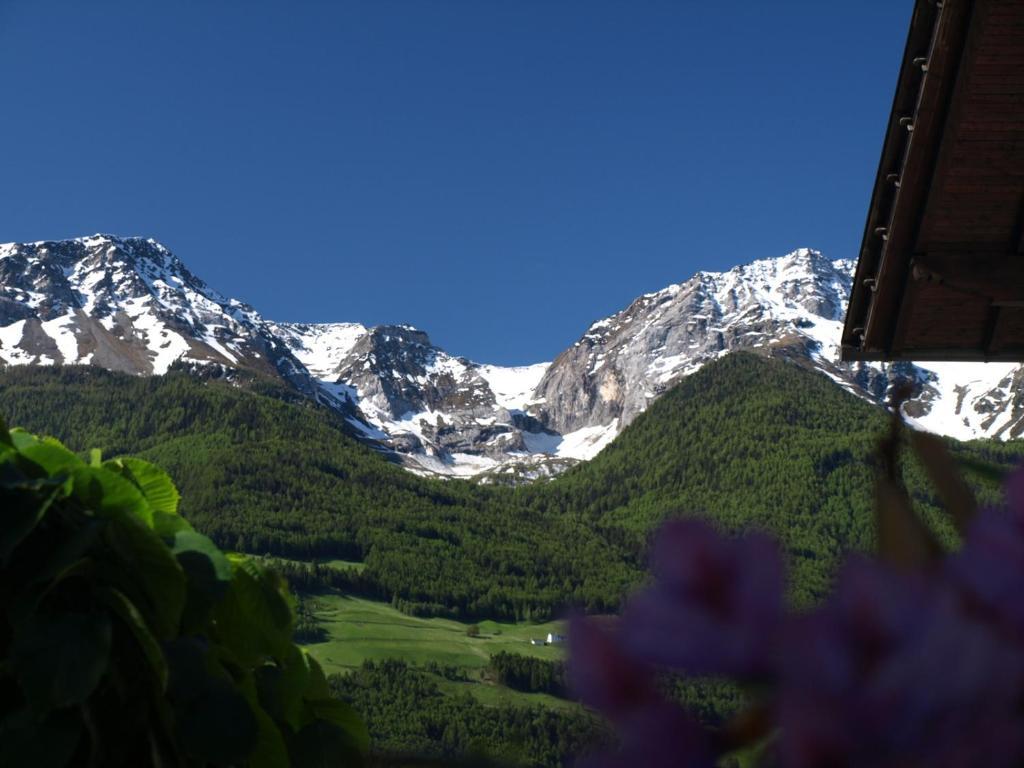 Feldgaertenhof Силандро Екстериор снимка