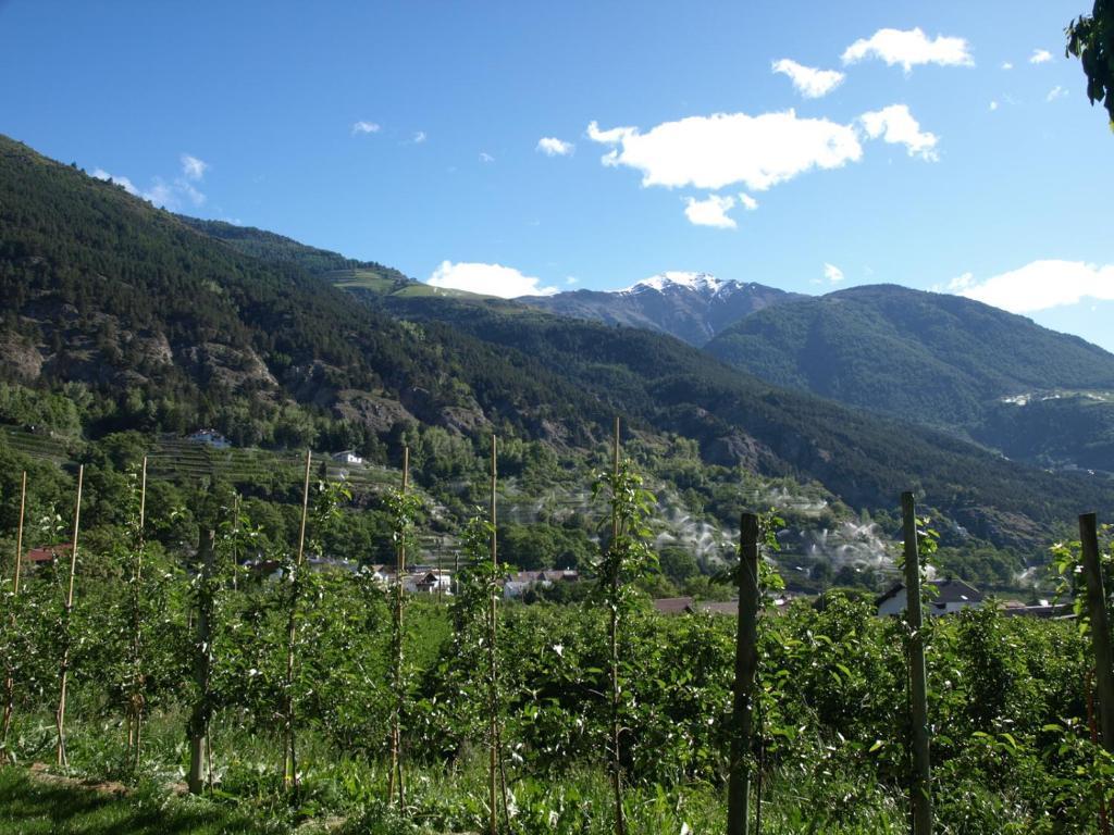 Feldgaertenhof Силандро Екстериор снимка