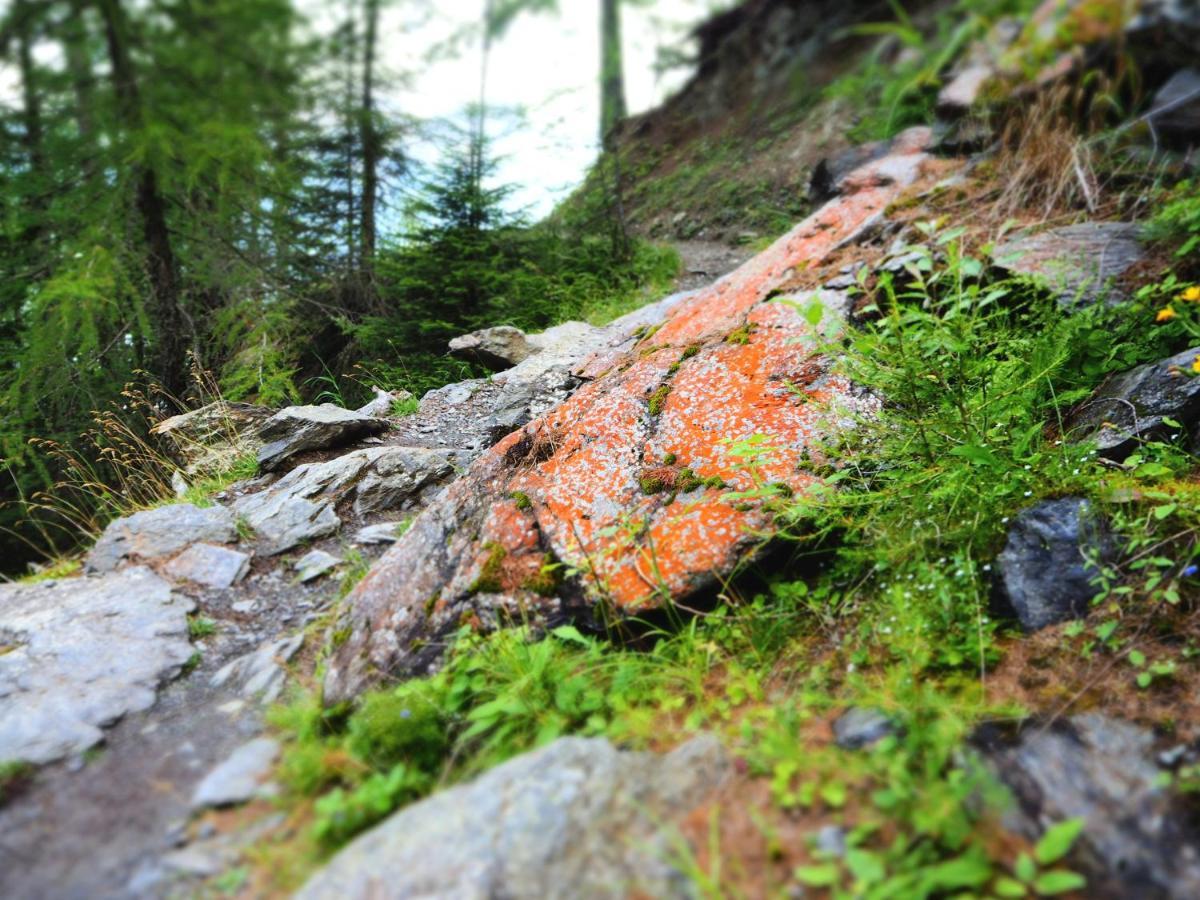Feldgaertenhof Силандро Екстериор снимка